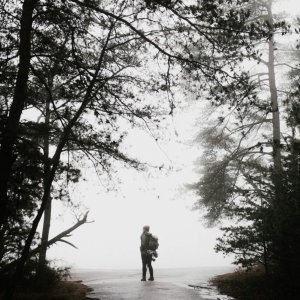 A lone hiker explores the misty forest pathways of Roaring Gap, NC, surrounded by towering trees.